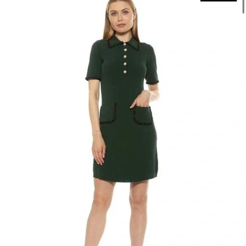 Green sweater dress (size small)
